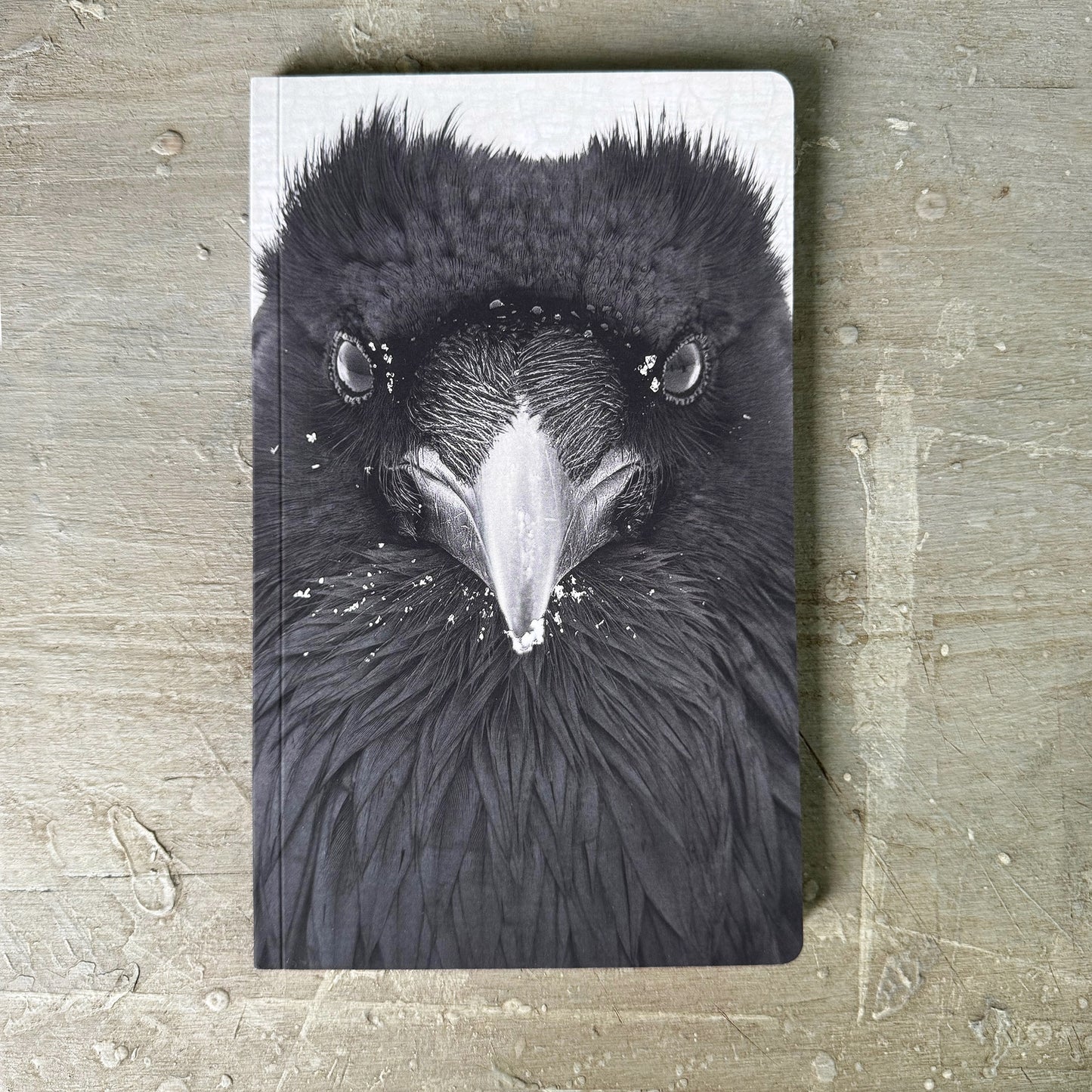 RAVEN WATCHER - Small Notebook by June Hunter