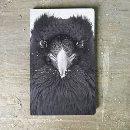 RAVEN WATCHER - Small Notebook by June Hunter