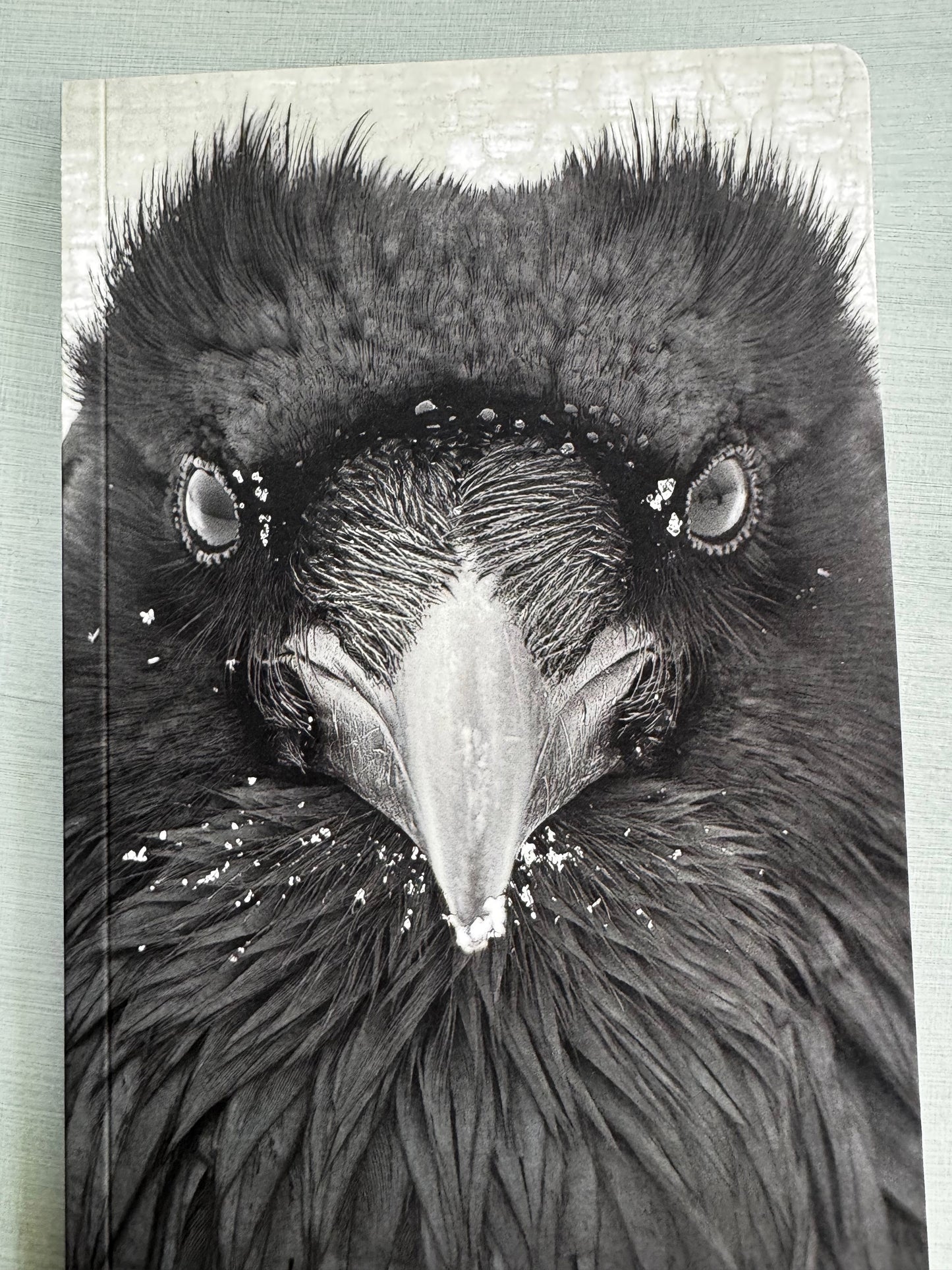 RAVEN WATCHER - Small Notebook by June Hunter