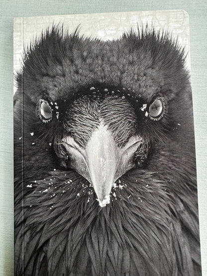RAVEN WATCHER - Small Notebook by June Hunter