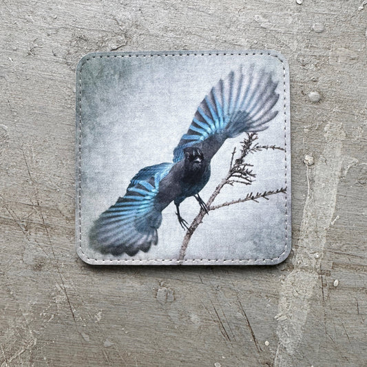 STELLER'S JAY WINGS — Coaster
