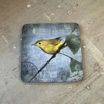 YELLOW WARBLER — Coaster