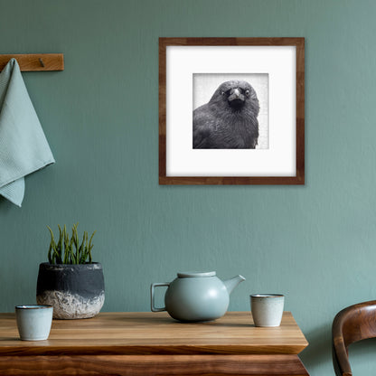 YOUNG SYD - Fine Art Print, Crow Portrait Series