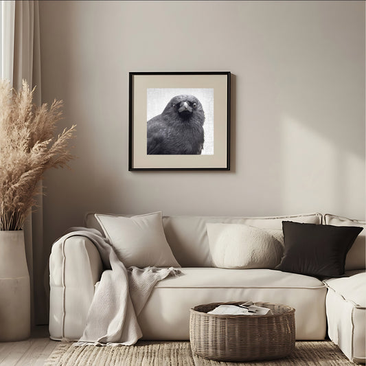 YOUNG SYD - Fine Art Print, Crow Portrait Series