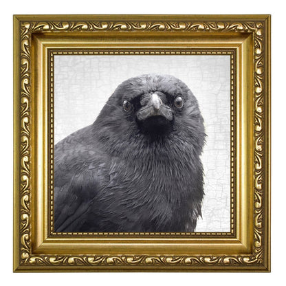YOUNG SYD - Fine Art Print, Crow Portrait Series