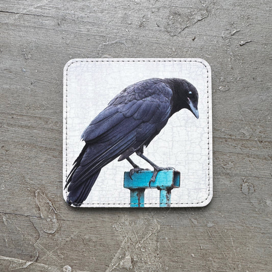 BABY CROW ON A BLUE FENCE — Coaster