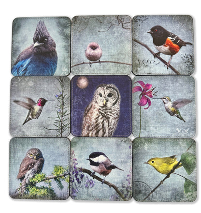 BLACK-CAPPED CHICKADEE — Coaster