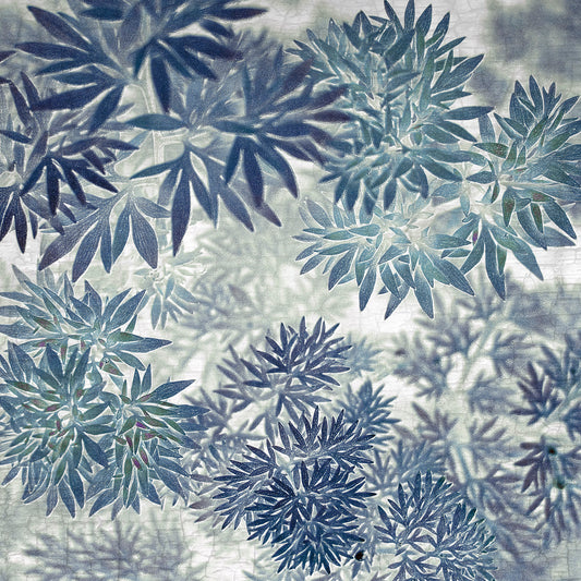 BLUE TERRARIUM - Fine Art Print, Botanical Blueprint