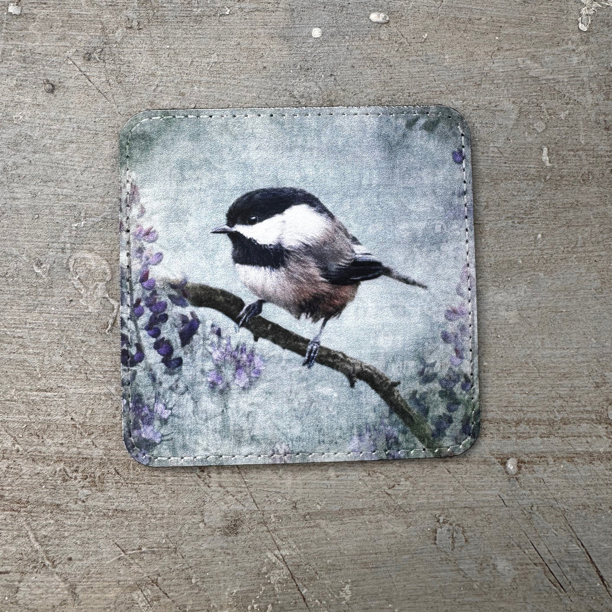BLACK CAPPED CHICKADEE — Coaster