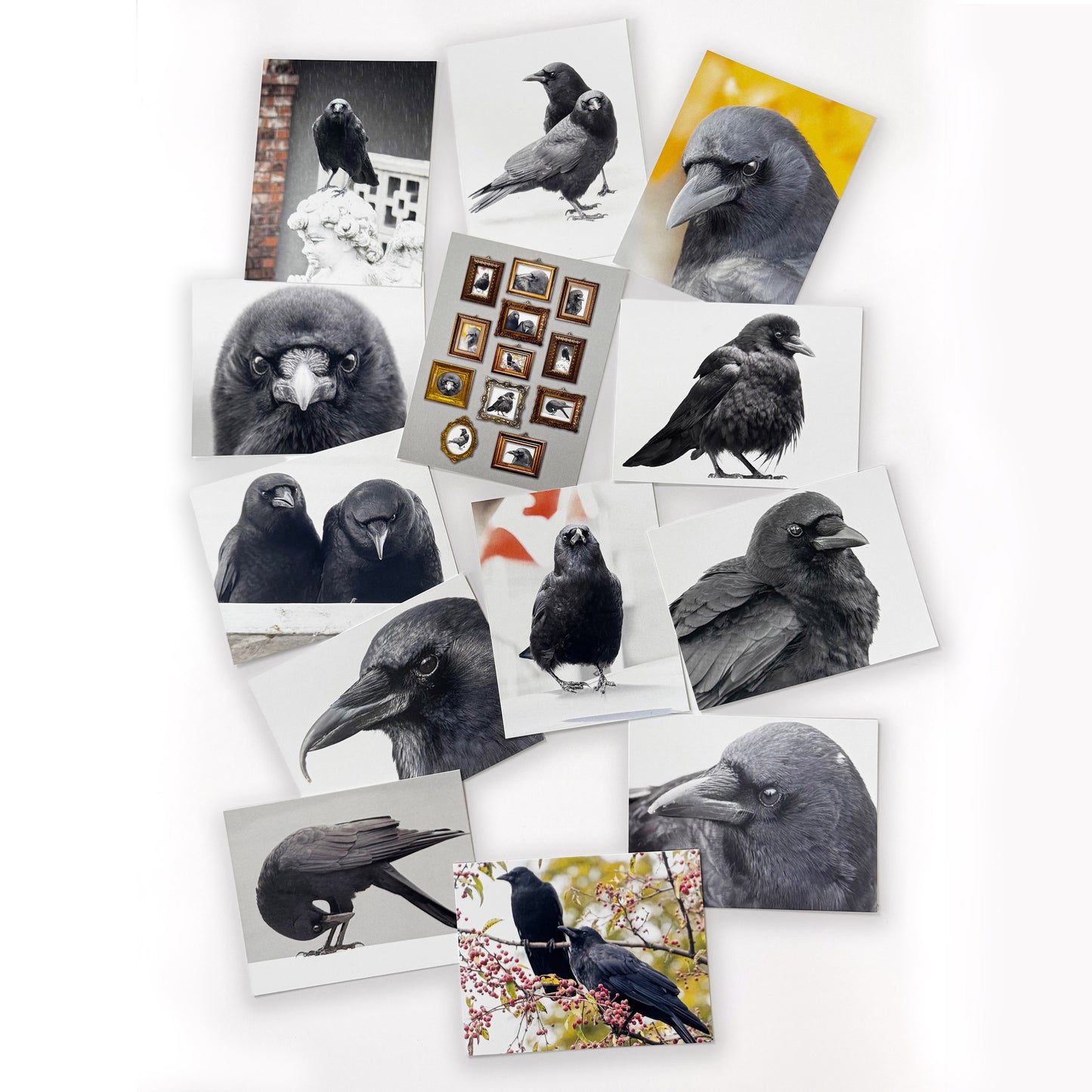 Set of 12 CROW CHARACTERS Postcards by June Hunter