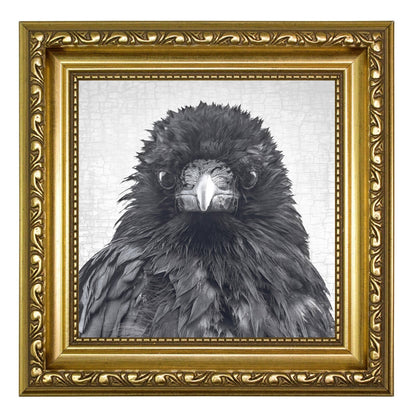CROW CRITIC - Fine Art Print, Crow Portrait Series