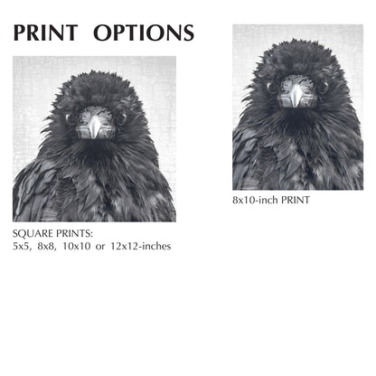 CROW CRITIC - Fine Art Print, Crow Portrait Series