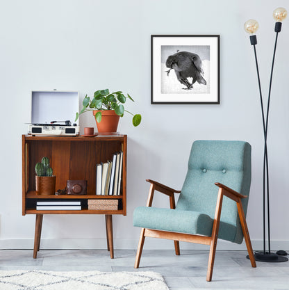 RAVEN DANCE 1 - Fine Art Print, Raven Portrait Series