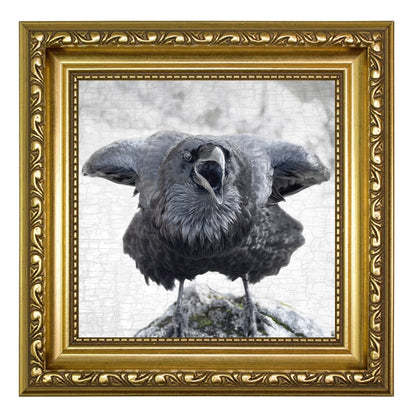 ELBOWS UP - Fine Art Print, Raven Portrait Series