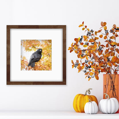 AUTUMN GOLD CROW - Fine Art Print, Crow Portrait Series