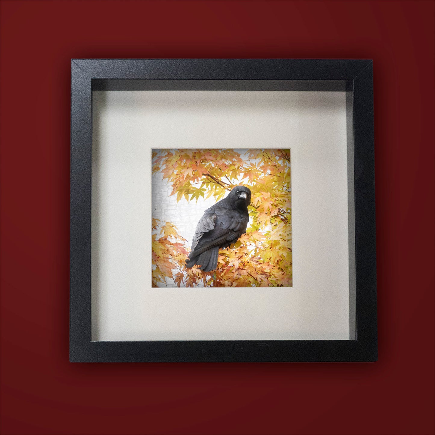 AUTUMN GOLD CROW - Fine Art Print, Crow Portrait Series
