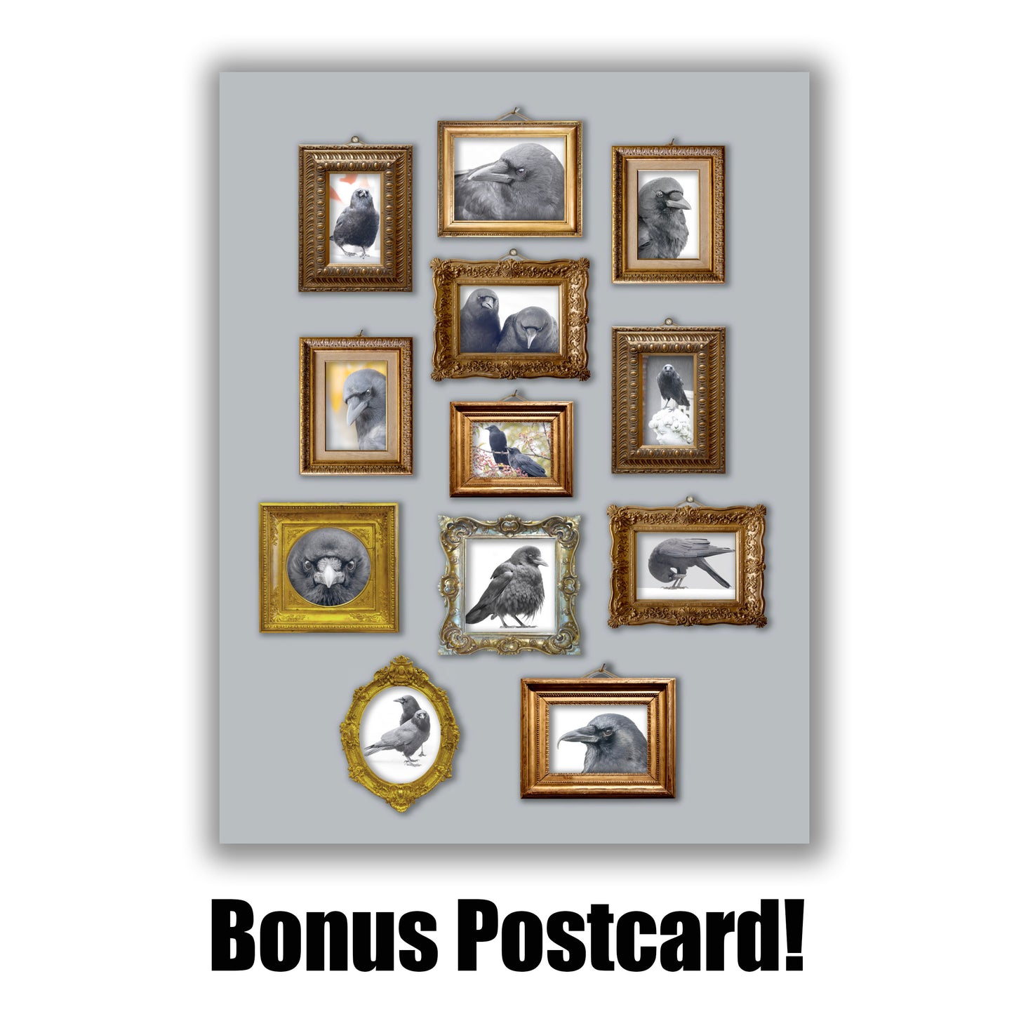 CITY CROW CALENDAR 2027 — Wall Calendar
