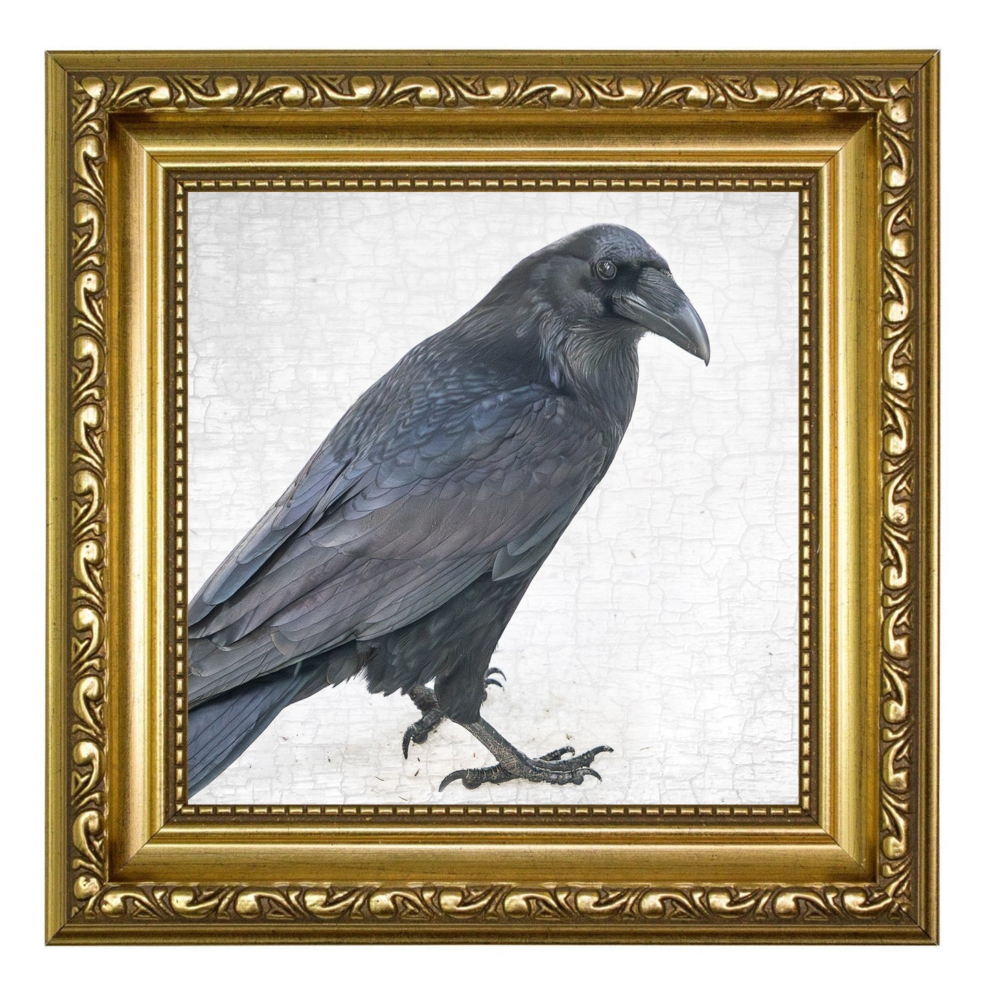 ENTER RAVEN, STAGE LEFT - Fine Art Print, Raven Portrait Series