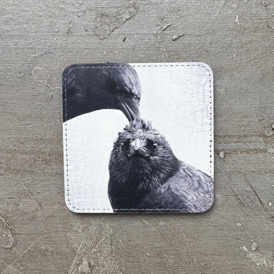 HAIR DO CROWS — Coaster