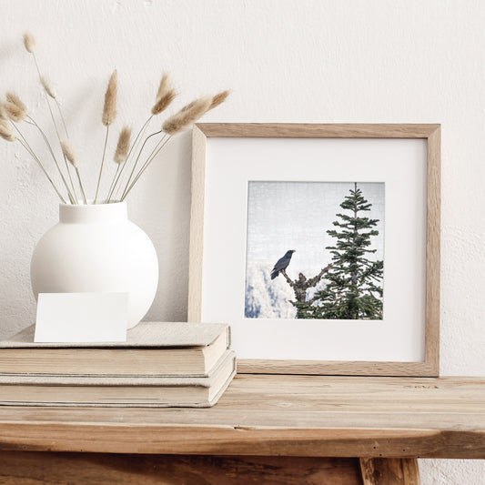 MORNING SONG - Fine Art Print, Raven Portrait Series