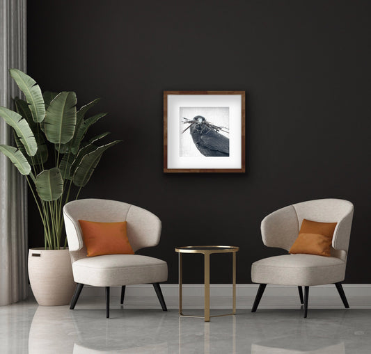 NESTING SEASON - Fine Art Print, Crow Portrait Series