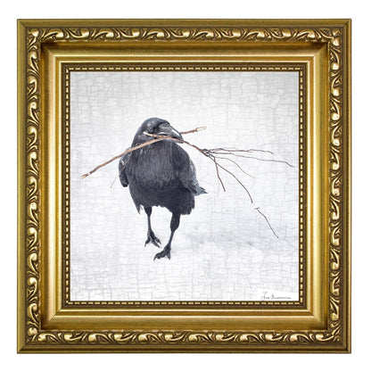 NESTING RAVEN 1 - Fine Art Print, Raven Portrait Series