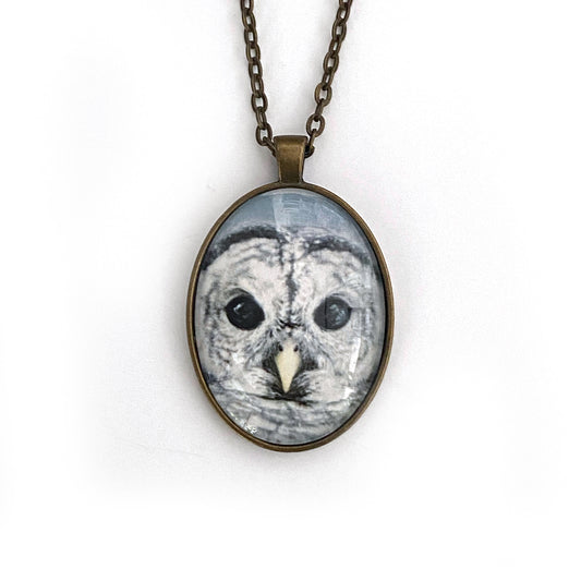 BARRED OWL - Large Glass Pendant - SALE