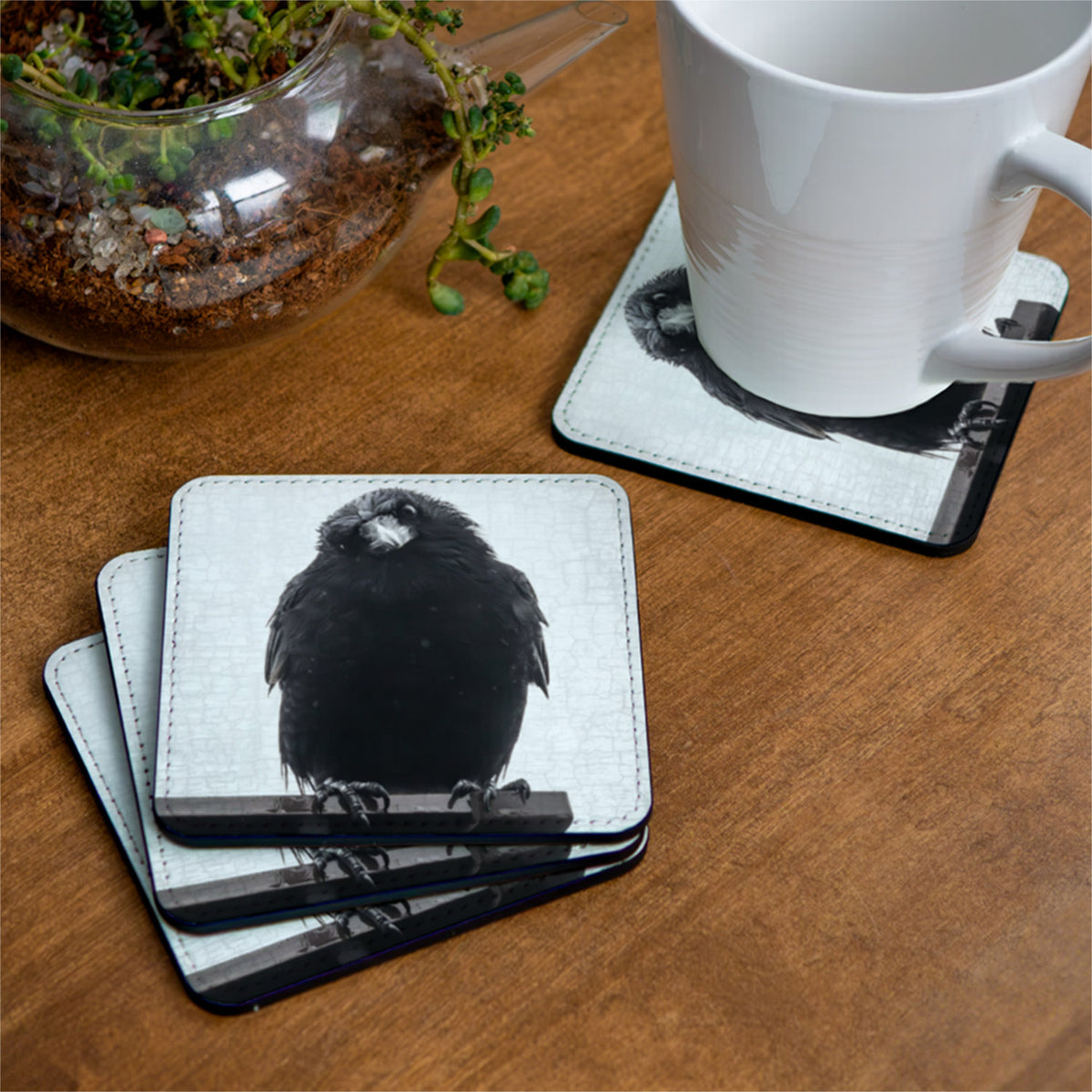 PHILOSOPHER CROW — Coaster
