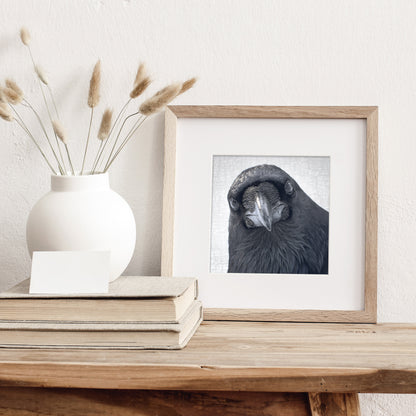 POP-UP RAVEN - Fine Art Print, Raven Portrait Series