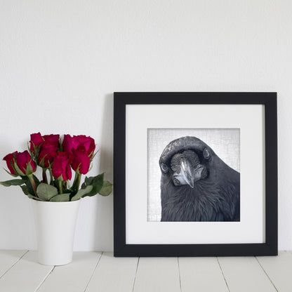 POP-UP RAVEN - Fine Art Print, Raven Portrait Series