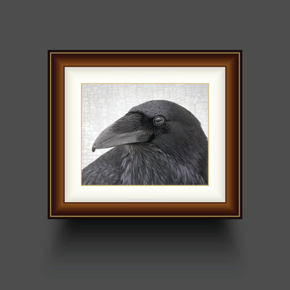 RAVEN LANDSCAPE - Fine Art Print, Raven Portrait Series