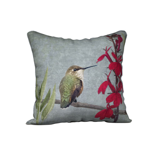 RUFOUS HUMMINGBIRD — Bird Cushion Cover