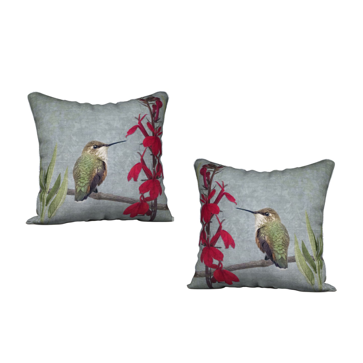RUFOUS HUMMINGBIRD — Bird Cushion Cover