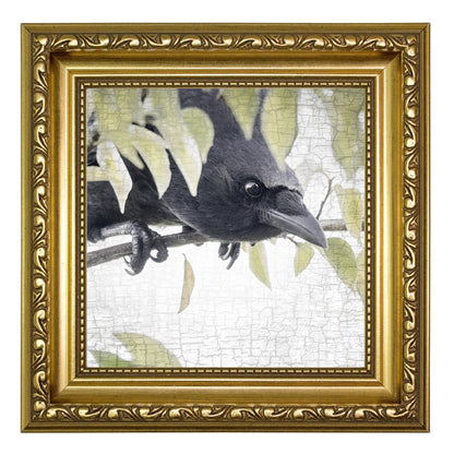 SECRET CROW - Fine Art Print, Crow Portrait Series