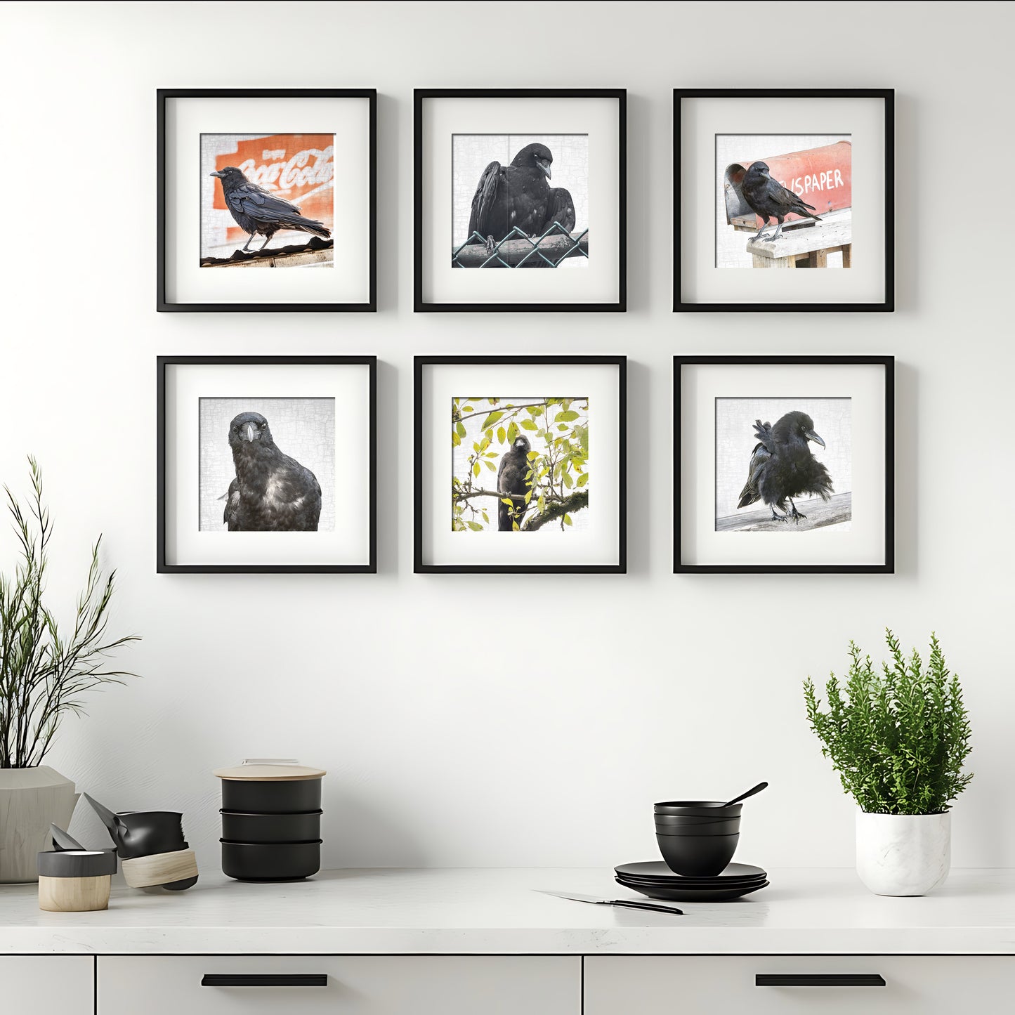 BREEZY BILL - Fine Art Print, Crow Portrait Series