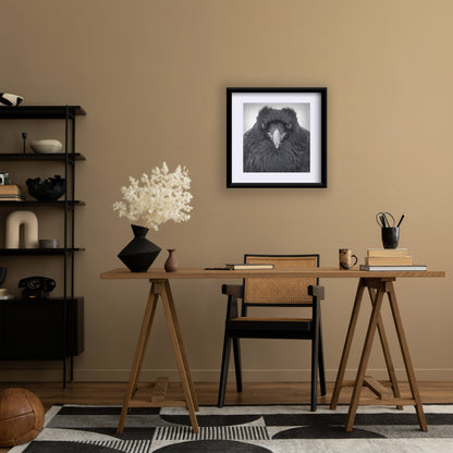 WATCHER IN THE SNOW - Fine Art Print, Raven Portrait Series