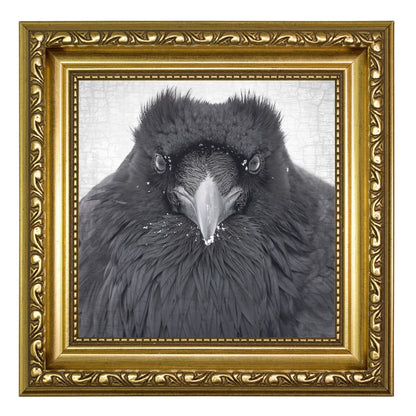 WATCHER IN THE SNOW - Fine Art Print, Raven Portrait Series