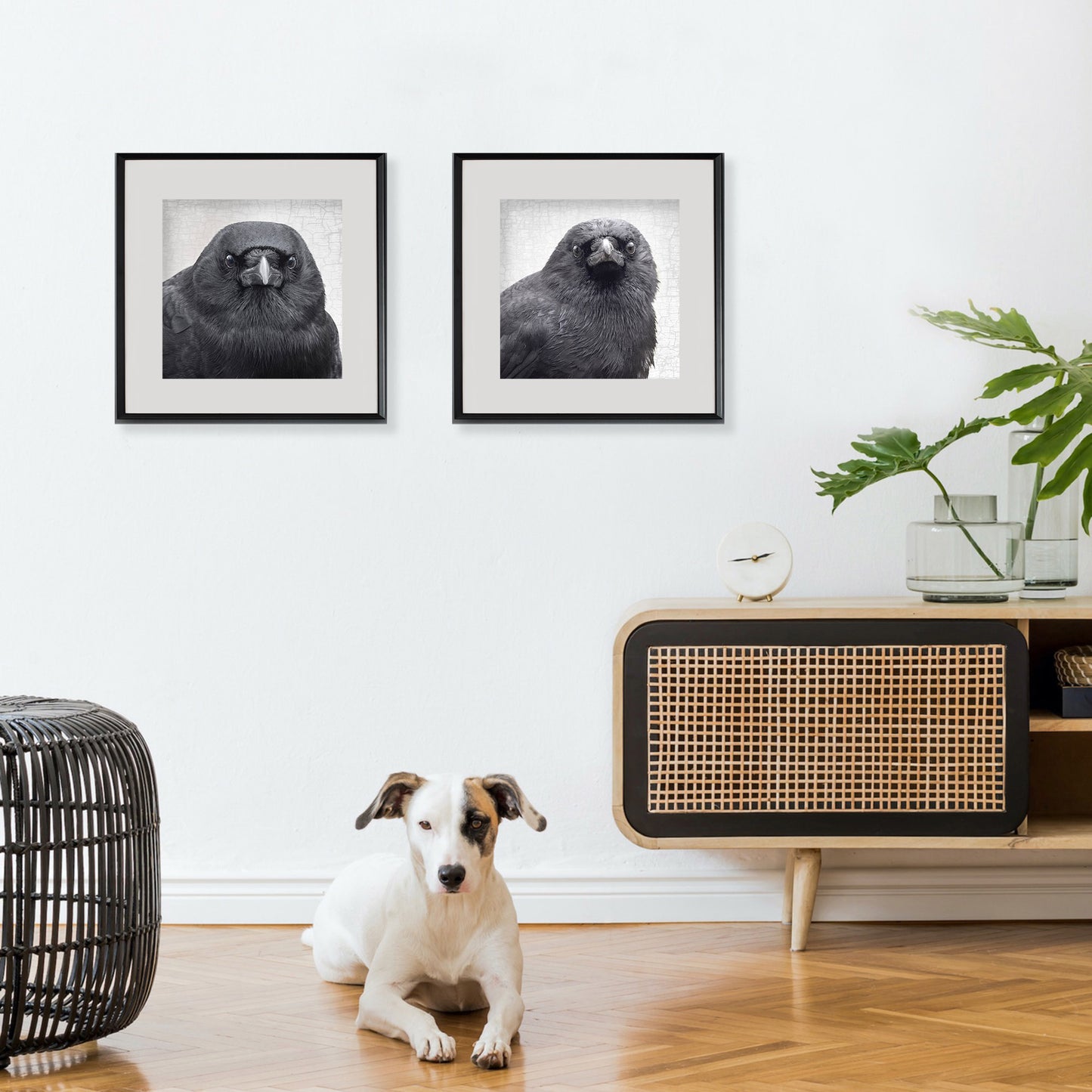 YOUNG SYD - Fine Art Print, Crow Portrait Series