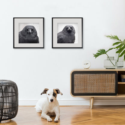 YOUNG SYD - Fine Art Print, Crow Portrait Series