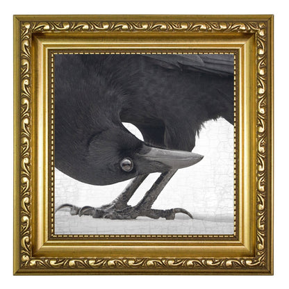 UPSIDE DOWN - Fine Art Print, Crow Portrait Series