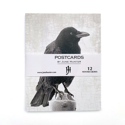 Custom Order for Karen — Set of 12 Crow Postcards