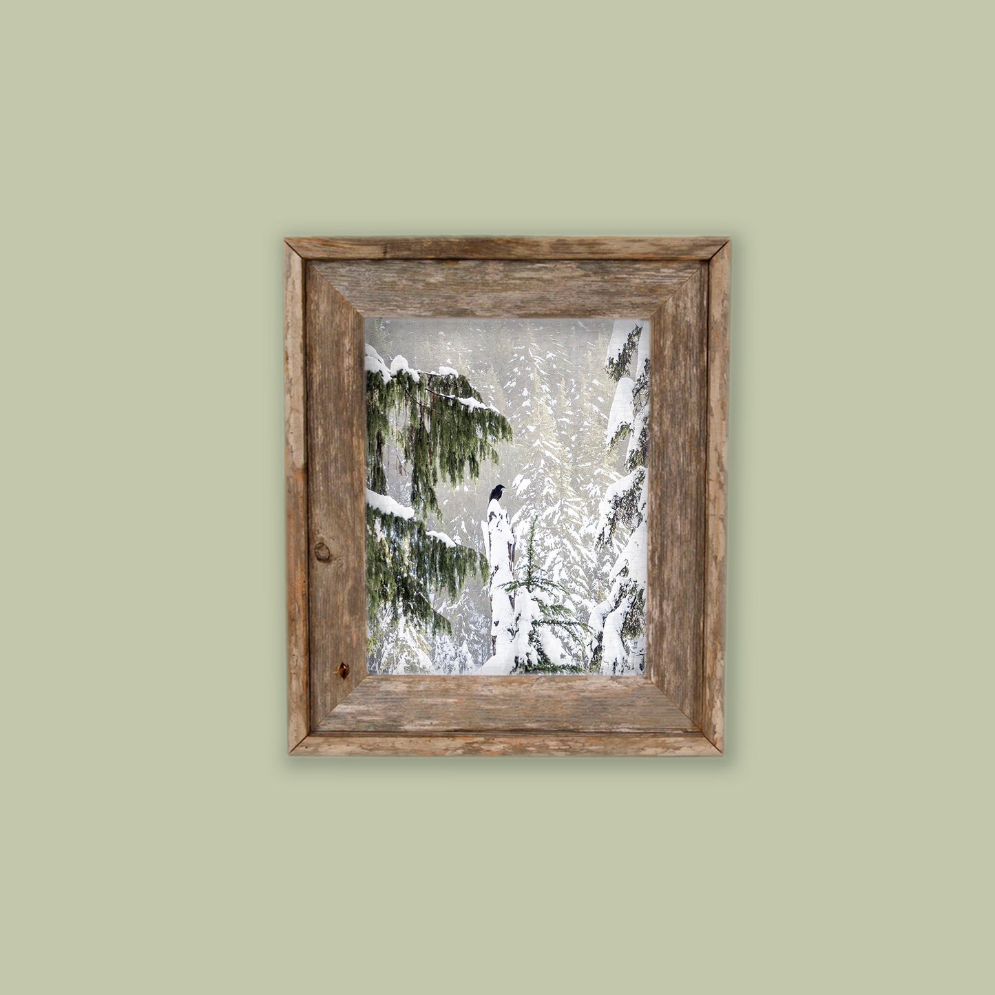 WINTER WOODS - Fine Art Print, Raven Portrait Series