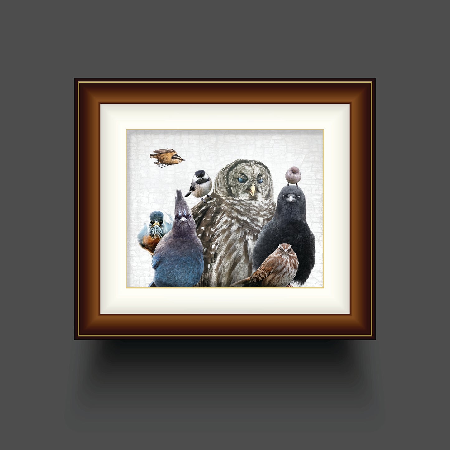 BIRDS OF JUDGEMENT — Fine Art Print, Judgmental Birds Collection