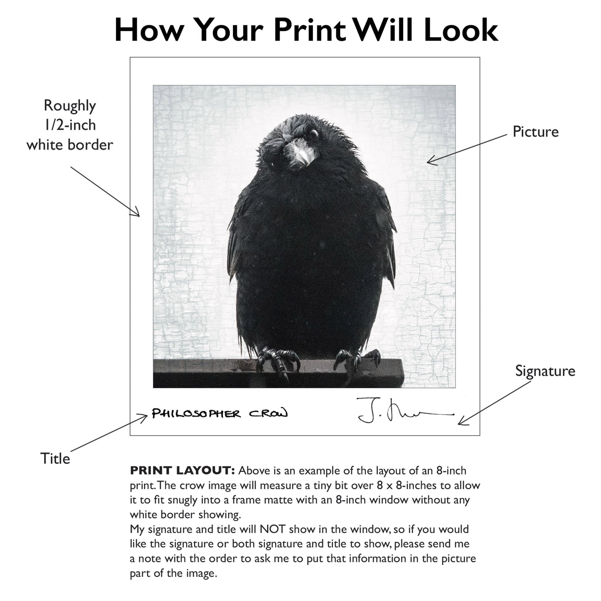 Raven print details