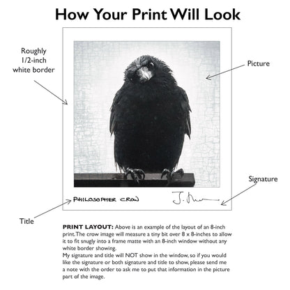 SPRING SHOWERS - Fine Art Print, Crow Portrait Series