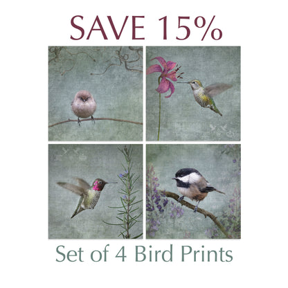 HUMMINGBIRD WITH ROSEMARY - Fine Art Print, Garden Birds Series