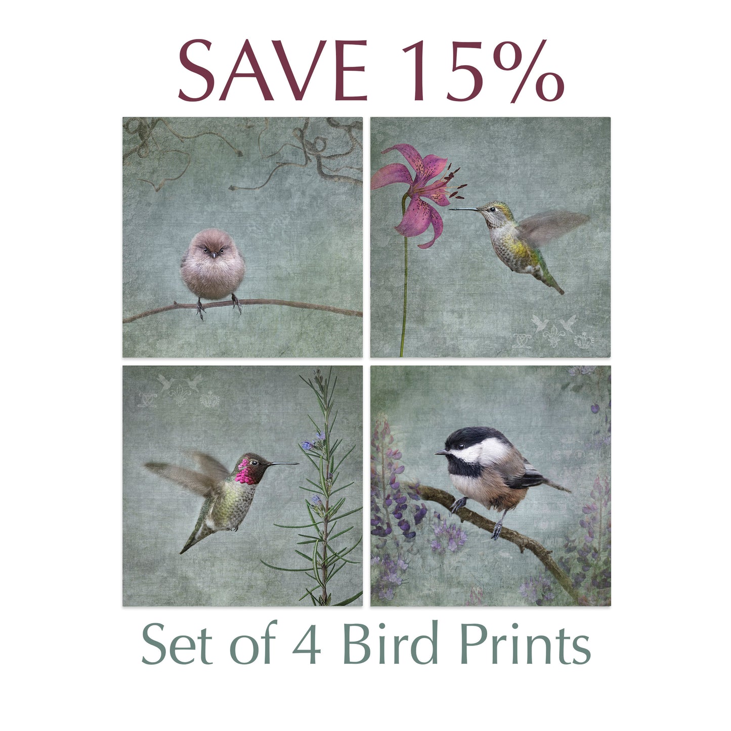 BATHING HUMMINGBIRD No.2 - Fine Art Print, Garden Birds Series