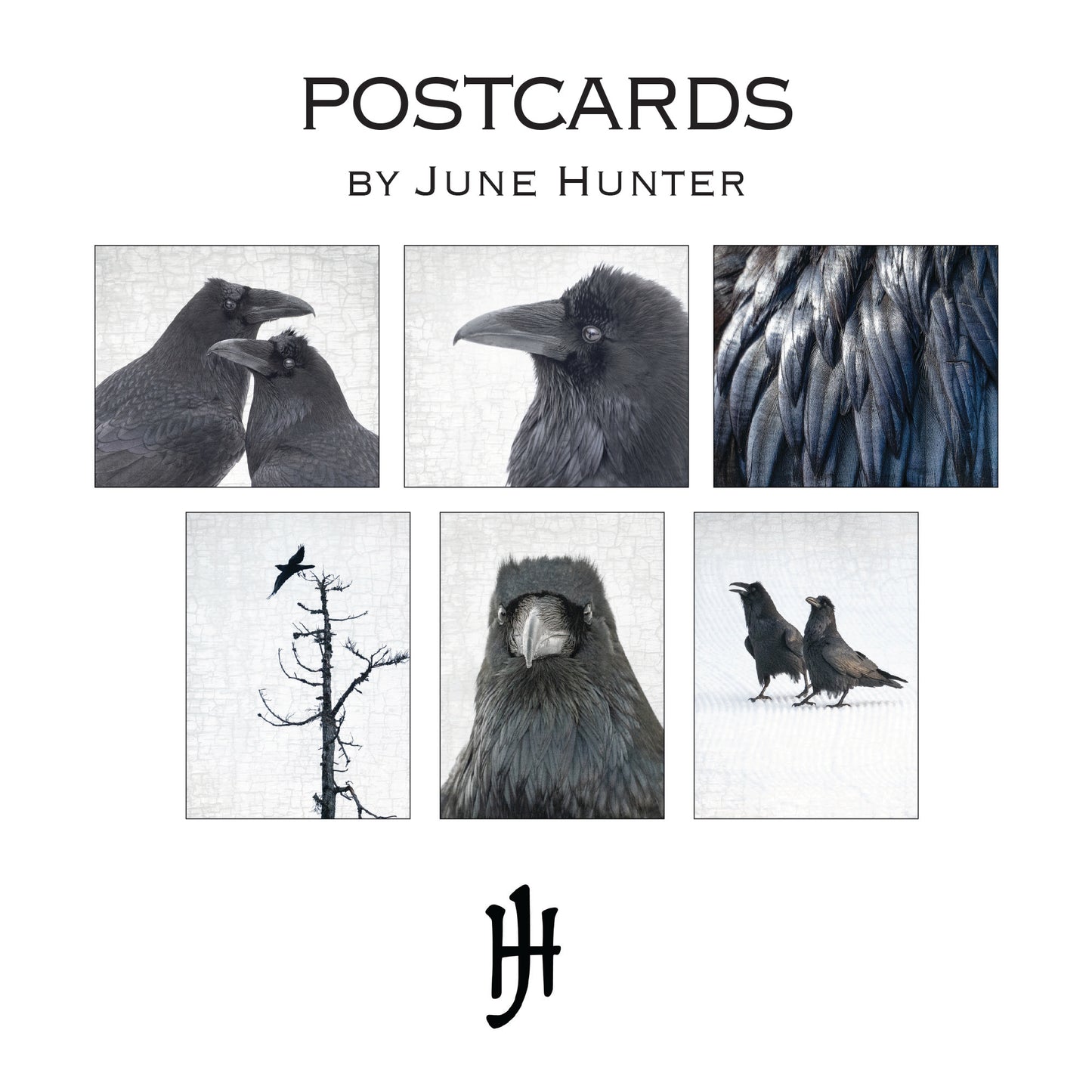 Set of 12 RAVENS Postcards by June Hunter