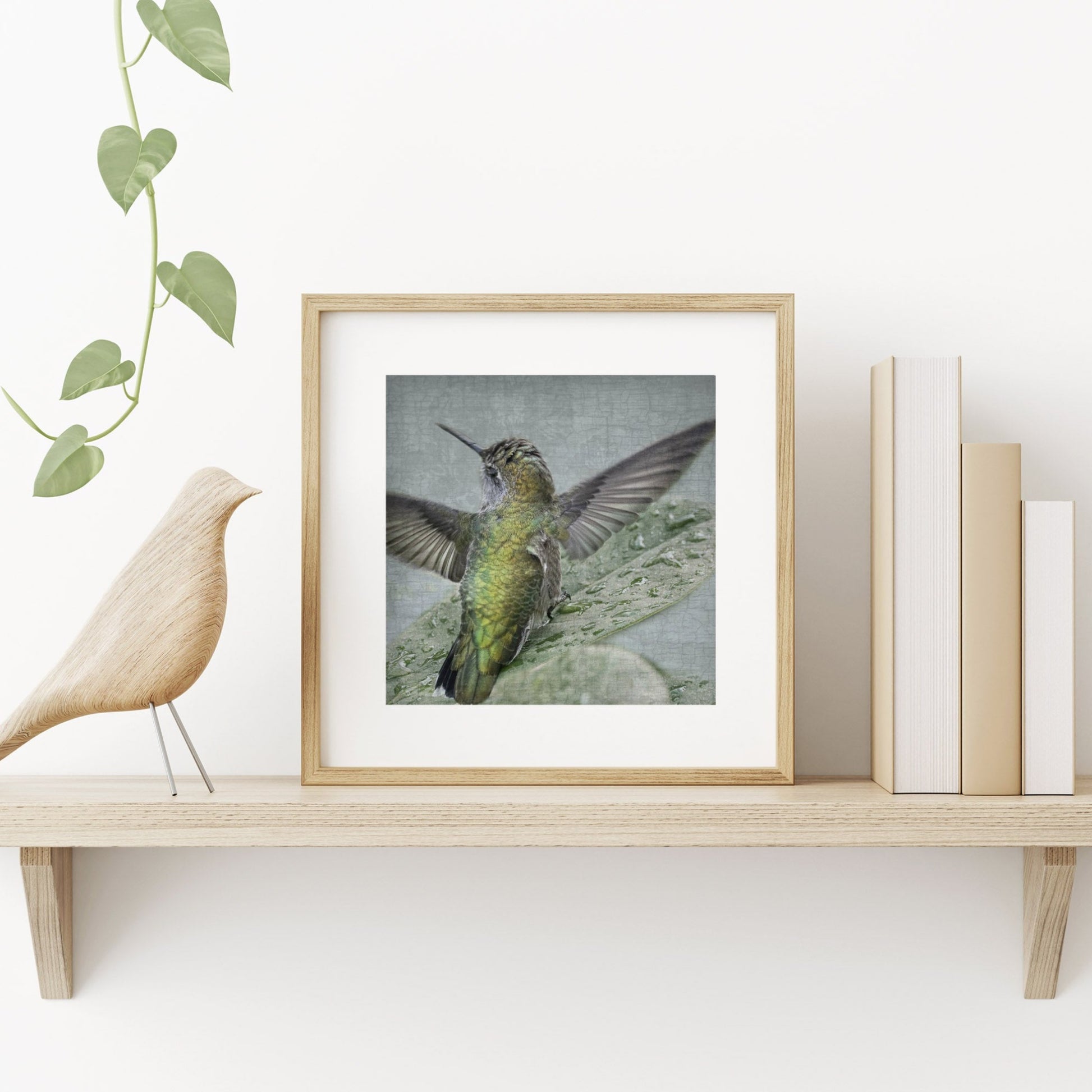 Bathing Hummingbird No.2 in Wood Frame