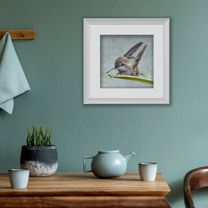 BATHING HUMMINGBIRD No. 1 - Fine Art Print, Garden Birds Series